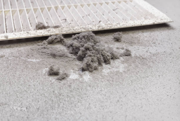 Best Air Duct Cleaning Near Me  in Poinciana, FL