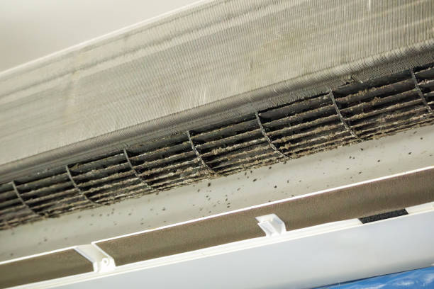 Best Local Air Duct Cleaning Services  in Poinciana, FL